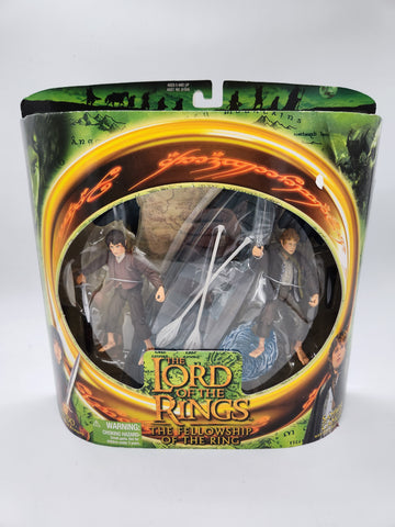 2001 Toy Biz The Lord of the Rings, The Fellowship of the Ring Frodo Samwise.