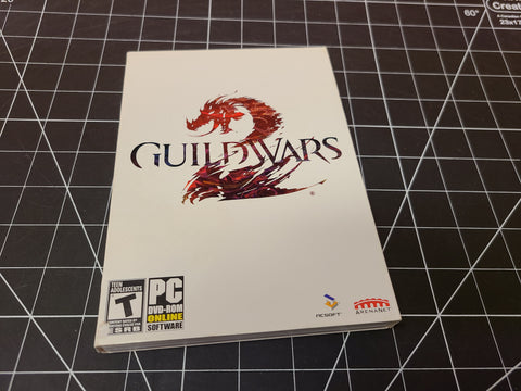 Guild Wars 2 (PC, 2012)