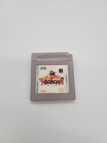 Stop That Roach (Nintendo Game Boy, 1994)