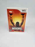 Showtime Championship Boxing (Nintendo Wii).