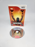 Showtime Championship Boxing (Nintendo Wii).