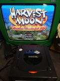 Harvest Moon: Another Wonderful Life Nintendo GameCube, 2005.