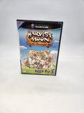 Harvest Moon: Another Wonderful Life Nintendo GameCube, 2005.