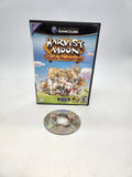Harvest Moon: Another Wonderful Life Nintendo GameCube, 2005.