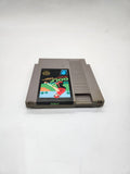 NES Open Tournament Golf NES, 1991.