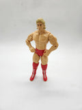 WWE Ric Flair Jakks Classic Superstars 2 Wrestling Action Figure.