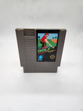 NES Open Tournament Golf NES, 1991.