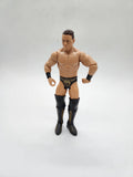 WWE Basic Superstar The Miz Wrestling Action Figure Mattel.
