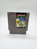 Teenage Mutant Ninja Turtles Nintendo NES, 1989.