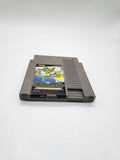 Teenage Mutant Ninja Turtles Nintendo NES, 1989.