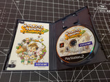 PS2 Harvest Moon A Wonderful Life Special Edition Playstation 2.