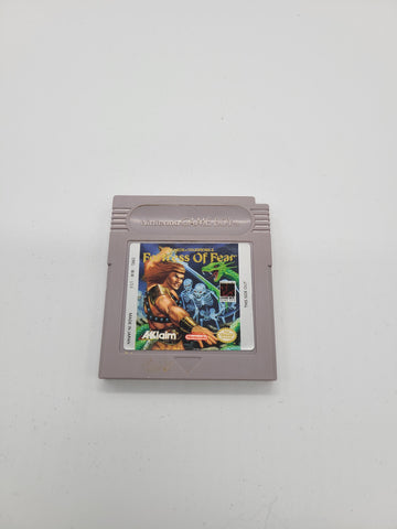 Fortress of Fear: Wizards & Warriors X (Nintendo Game Boy, 1990)